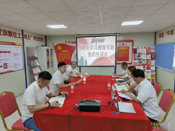 中煤和悦府项目部临时联合党支部-林奕冰 - 副本.png